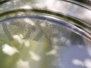 Har døjet med stress i 5 år. Blev sygemeldt med stress og arbejdede mig op igen ved hjælp af meditation og mindfulness. Sygemeldingen var guld. Arbejder lidt for meget fordi jeg har egen virksomhed. Startede for 3,5 år siden og den vokser.