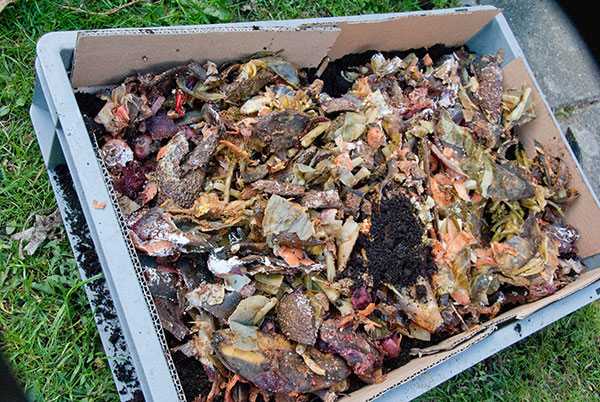 Højbed af plastikkasser med bokashi jord