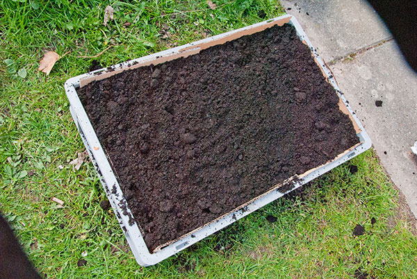 Højbed af plastikkasser med bokashi jord