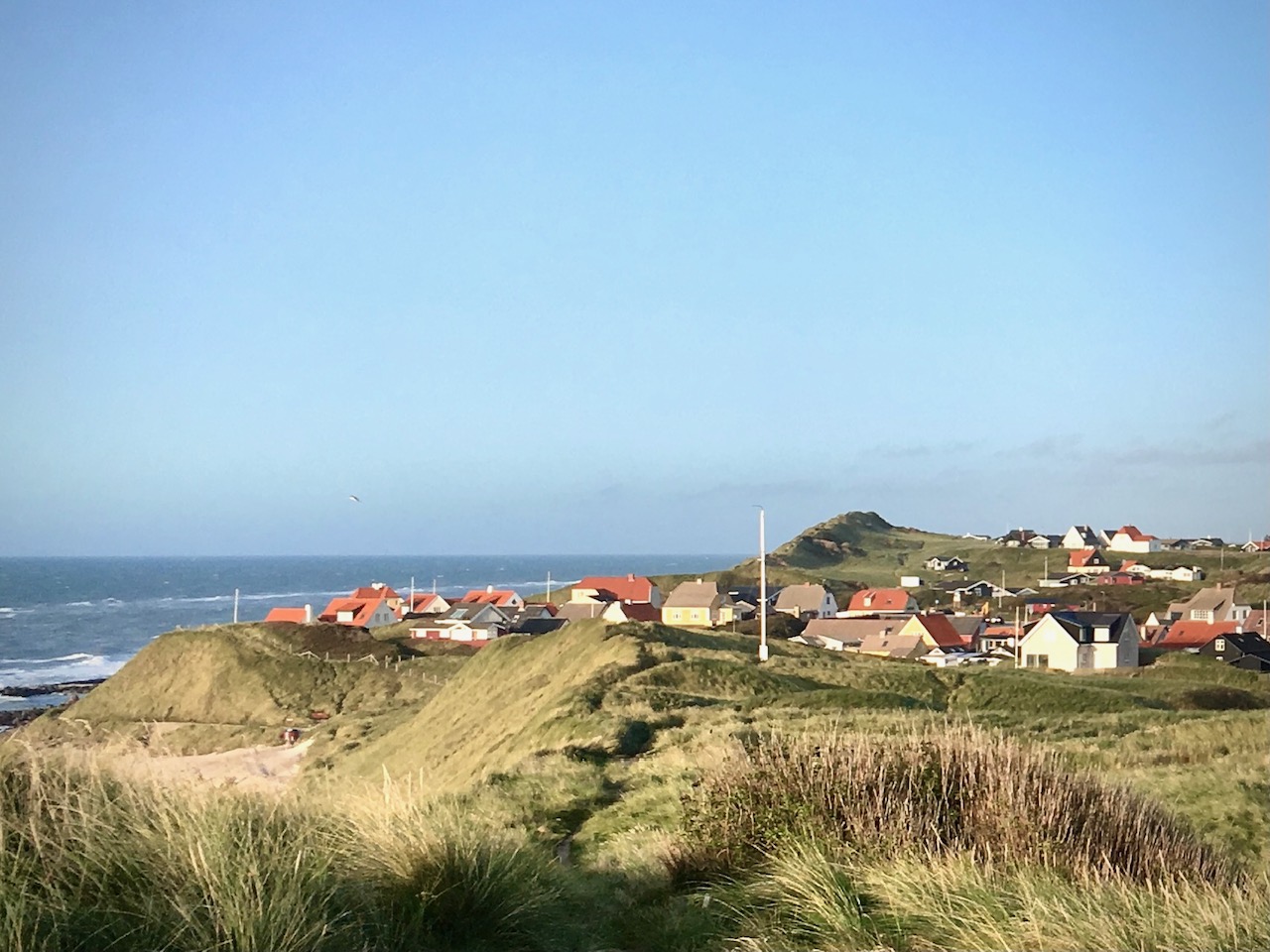 Sommerferie med Bokashi
